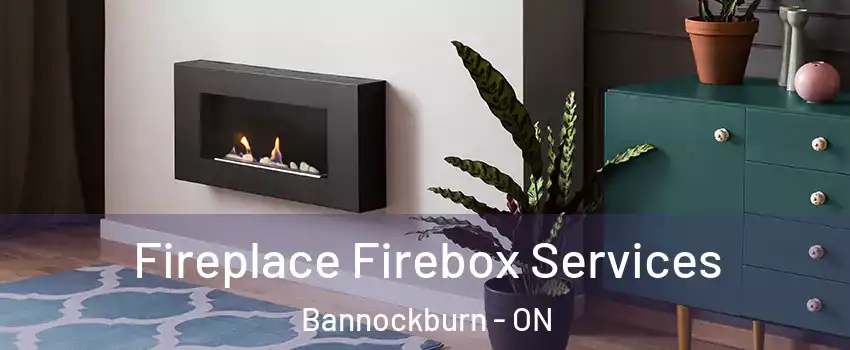 Fireplace Firebox Services Bannockburn - ON