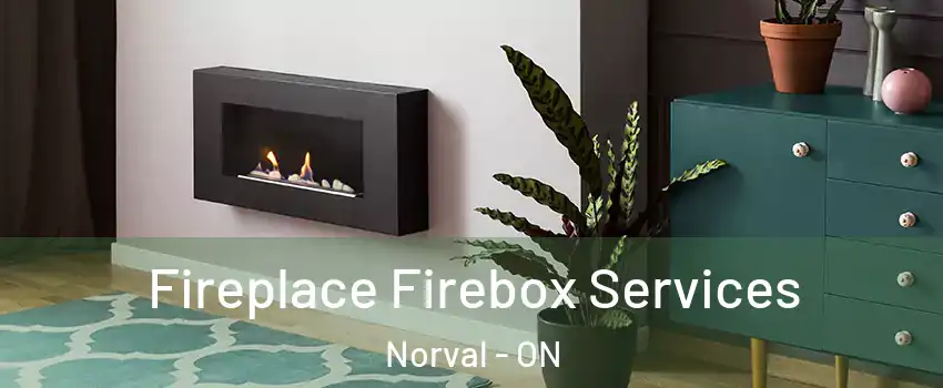  Fireplace Firebox Services Norval - ON