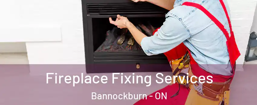  Fireplace Fixing Services Bannockburn - ON