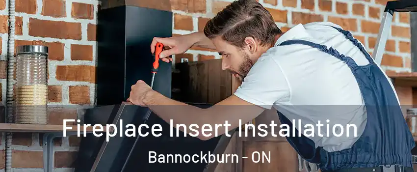  Fireplace Insert Installation Bannockburn - ON