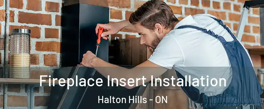  Fireplace Insert Installation Halton Hills - ON
