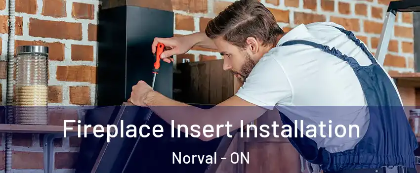  Fireplace Insert Installation Norval - ON