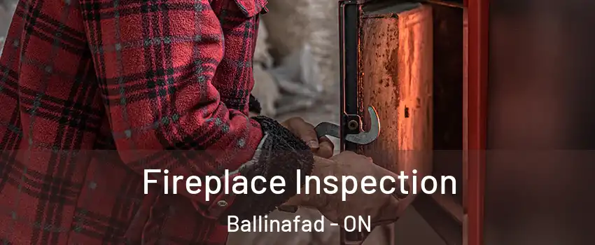  Fireplace Inspection Ballinafad - ON