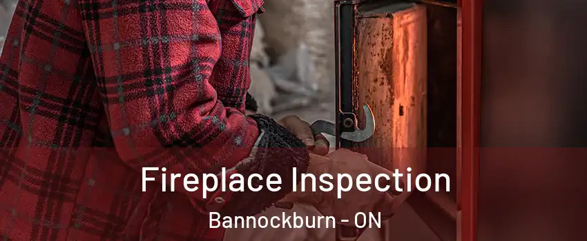  Fireplace Inspection Bannockburn - ON