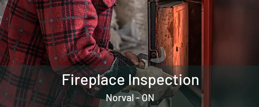  Fireplace Inspection Norval - ON