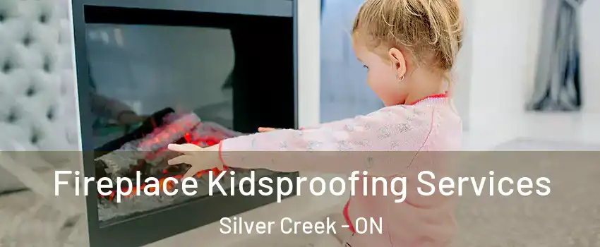 Fireplace Kidsproofing Services Silver Creek - ON