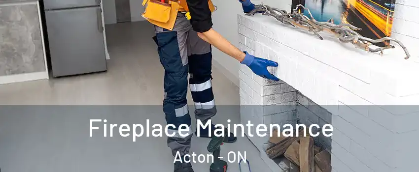  Fireplace Maintenance Acton - ON
