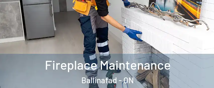  Fireplace Maintenance Ballinafad - ON