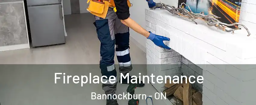  Fireplace Maintenance Bannockburn - ON