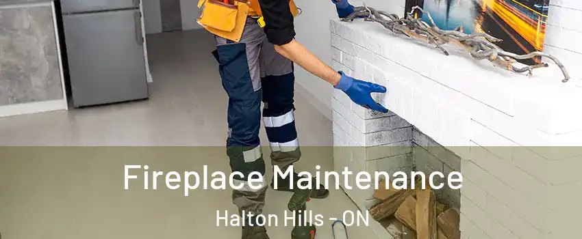  Fireplace Maintenance Halton Hills - ON