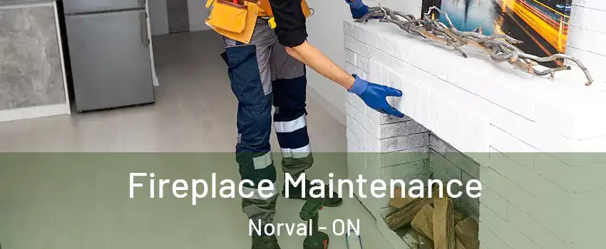  Fireplace Maintenance Norval - ON