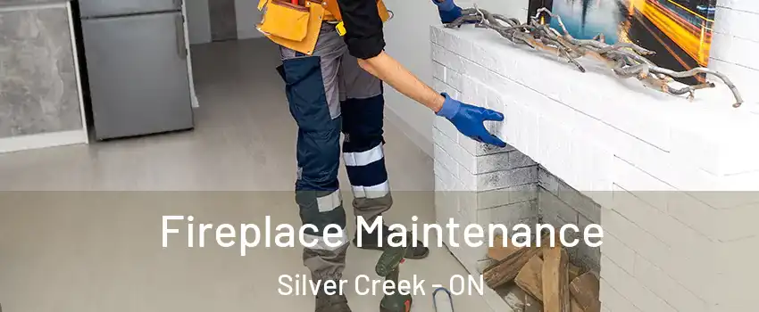  Fireplace Maintenance Silver Creek - ON