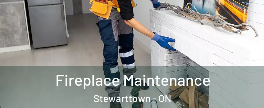  Fireplace Maintenance Stewarttown - ON