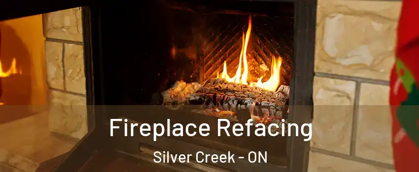  Fireplace Refacing Silver Creek - ON