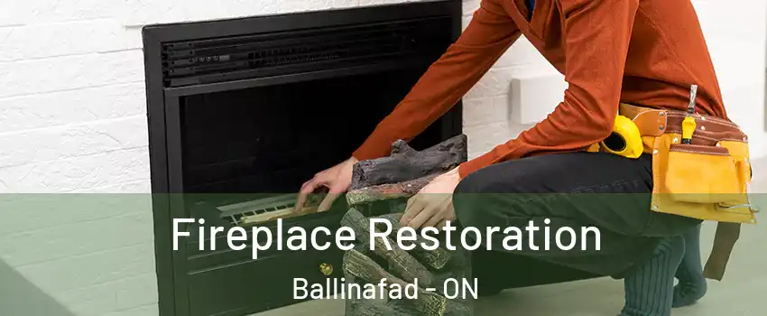  Fireplace Restoration Ballinafad - ON