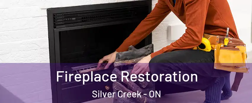  Fireplace Restoration Silver Creek - ON