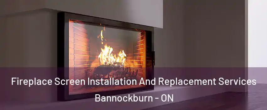  Fireplace Screen Installation And Replacement Services Bannockburn - ON