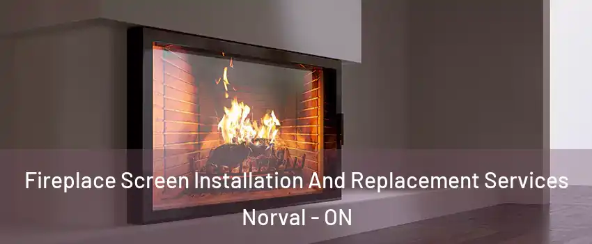  Fireplace Screen Installation And Replacement Services Norval - ON