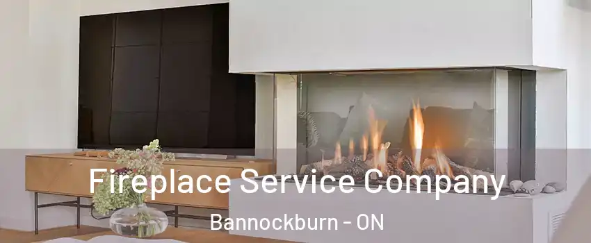  Fireplace Service Company Bannockburn - ON