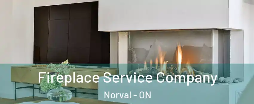  Fireplace Service Company Norval - ON
