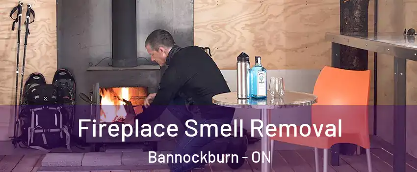  Fireplace Smell Removal Bannockburn - ON