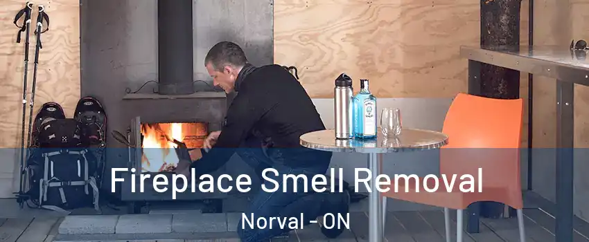  Fireplace Smell Removal Norval - ON
