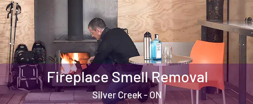  Fireplace Smell Removal Silver Creek - ON