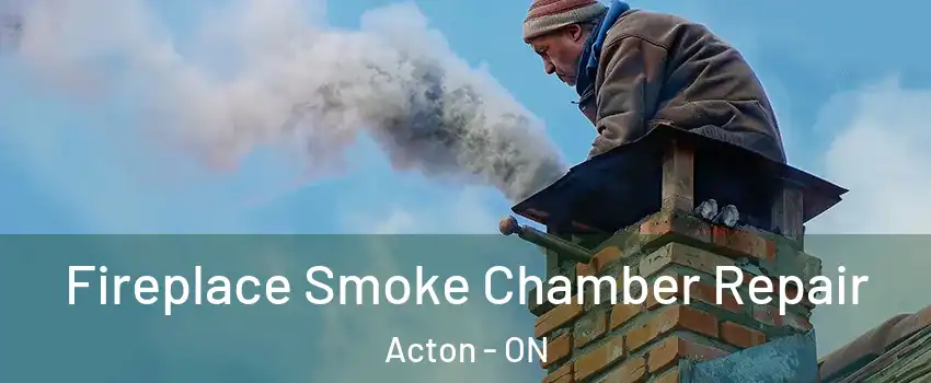  Fireplace Smoke Chamber Repair Acton - ON