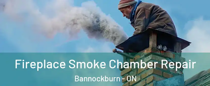  Fireplace Smoke Chamber Repair Bannockburn - ON