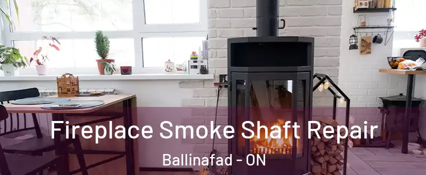  Fireplace Smoke Shaft Repair Ballinafad - ON