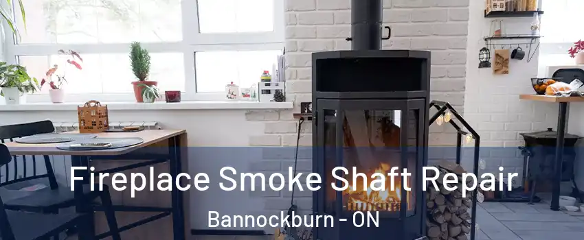  Fireplace Smoke Shaft Repair Bannockburn - ON