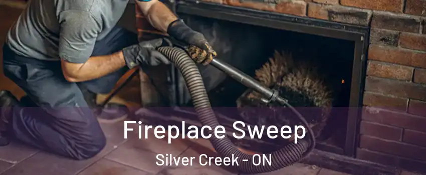  Fireplace Sweep Silver Creek - ON