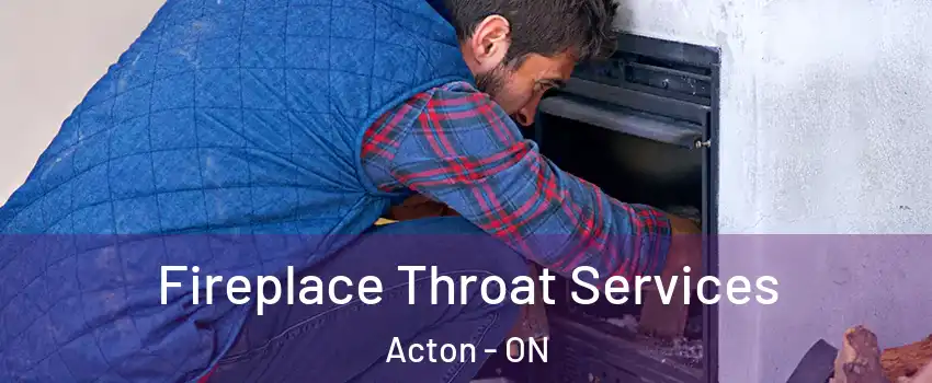  Fireplace Throat Services Acton - ON