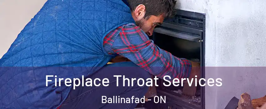  Fireplace Throat Services Ballinafad - ON