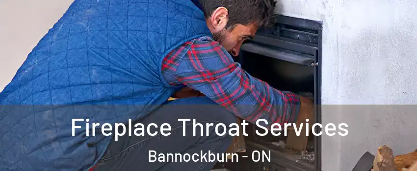  Fireplace Throat Services Bannockburn - ON