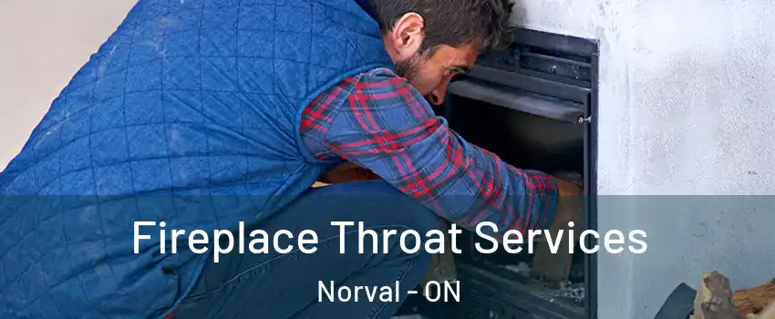  Fireplace Throat Services Norval - ON