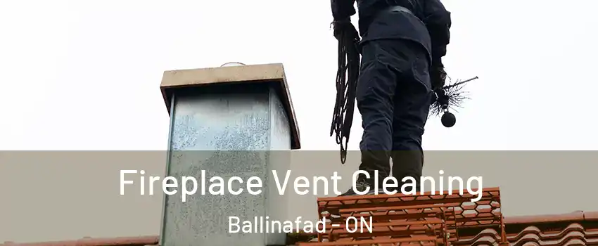  Fireplace Vent Cleaning Ballinafad - ON