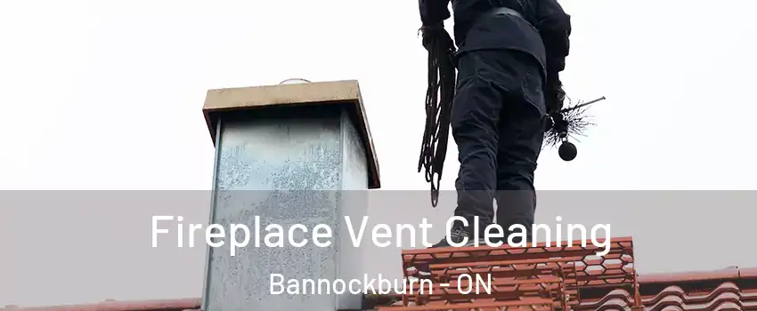  Fireplace Vent Cleaning Bannockburn - ON