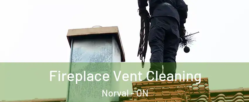  Fireplace Vent Cleaning Norval - ON