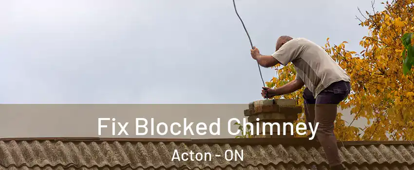  Fix Blocked Chimney Acton - ON