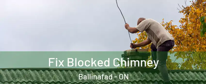  Fix Blocked Chimney Ballinafad - ON