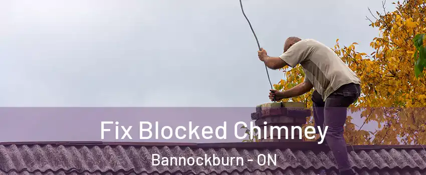 Fix Blocked Chimney Bannockburn - ON