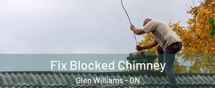  Fix Blocked Chimney Glen Williams - ON