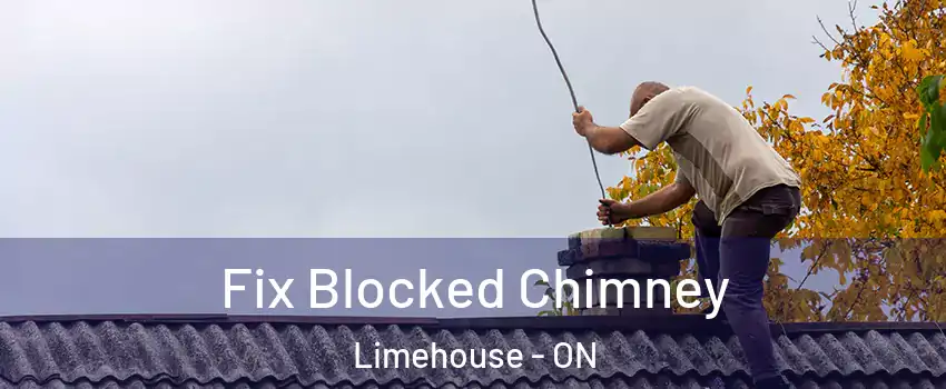  Fix Blocked Chimney Limehouse - ON