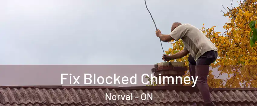  Fix Blocked Chimney Norval - ON