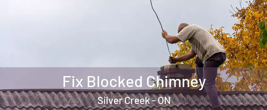  Fix Blocked Chimney Silver Creek - ON