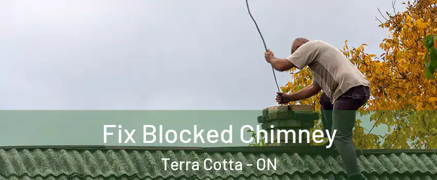  Fix Blocked Chimney Terra Cotta - ON