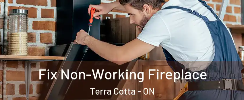  Fix Non-Working Fireplace Terra Cotta - ON