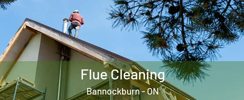  Flue Cleaning Bannockburn - ON