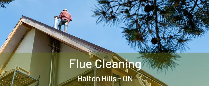  Flue Cleaning Halton Hills - ON
